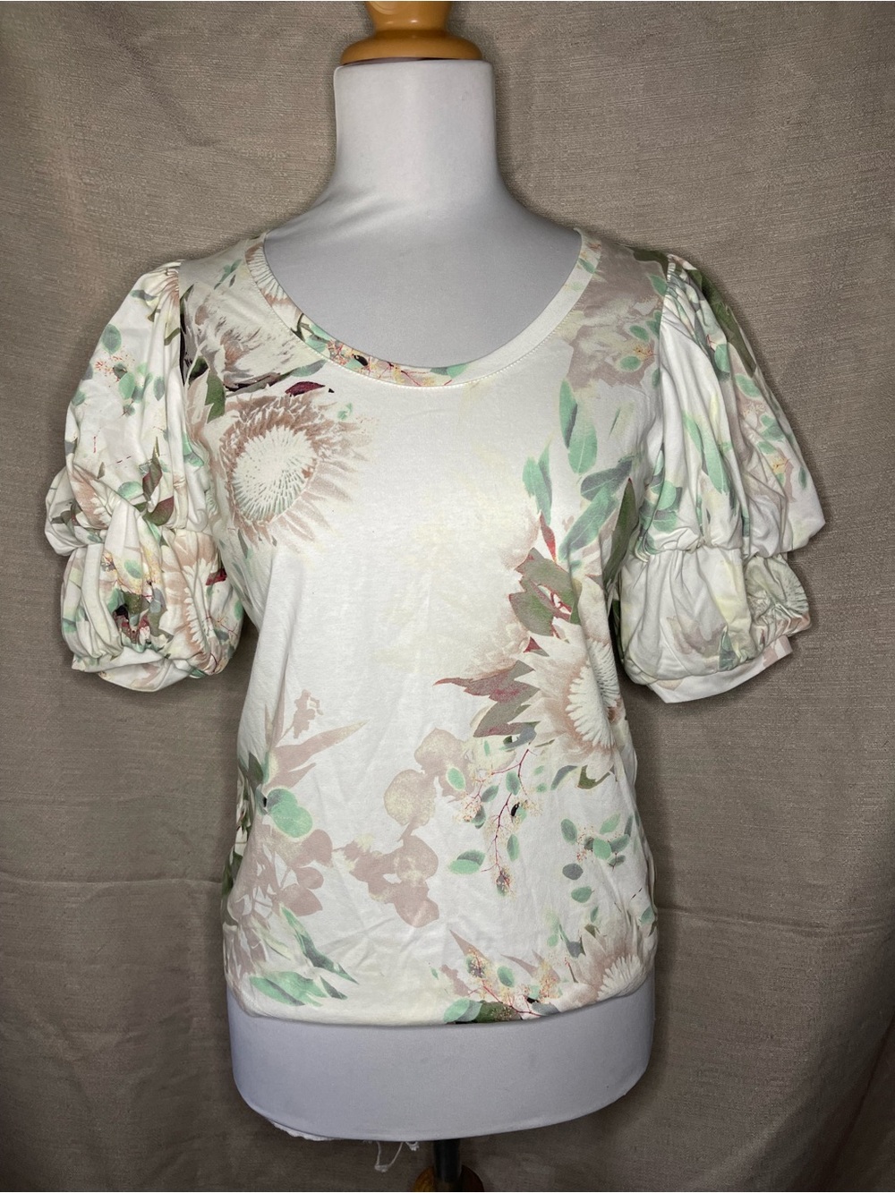 Express Cream Floral Puff Sleeve Top with Soft Green and Blush Accents